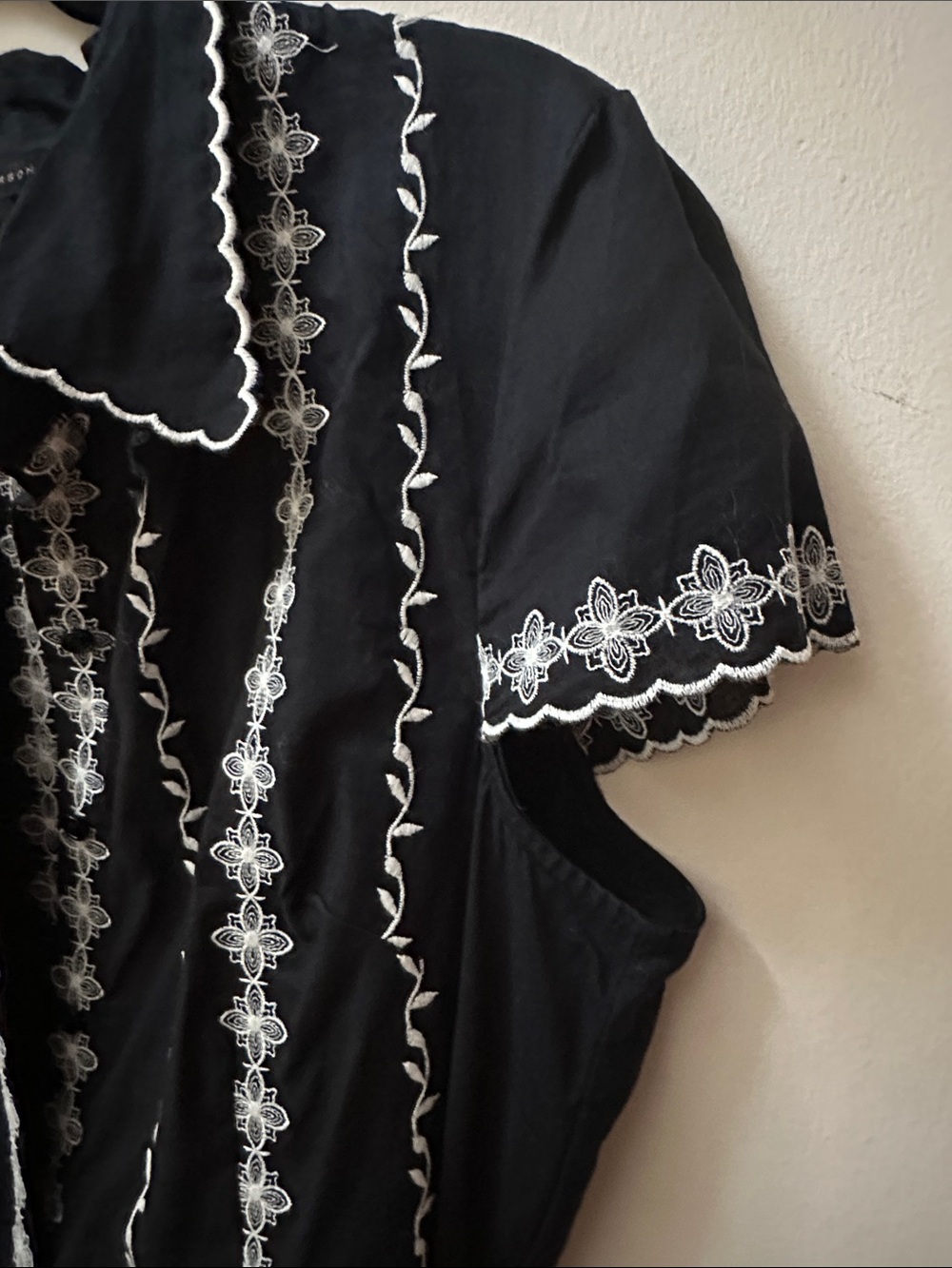 Anne Carson Black Dress with White Embroidered Stripes - Picture 3 of 15